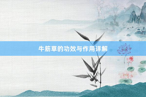 牛筋草的功效与作用详解