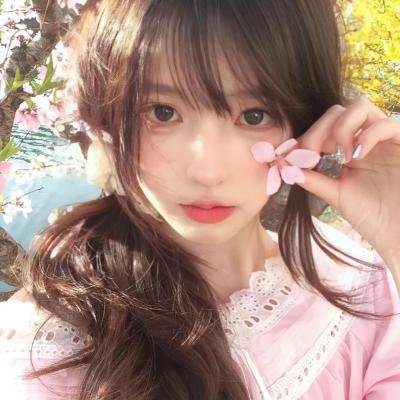 企鹅之岛：福克兰